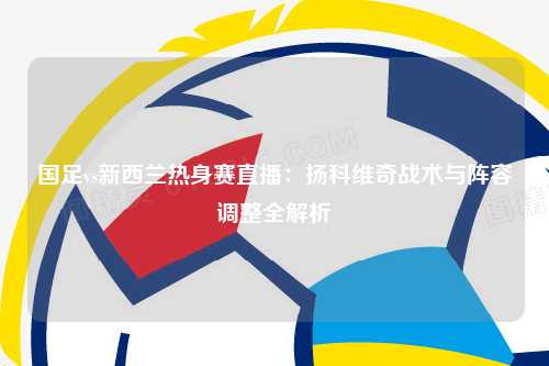 国足vs新西兰热身赛直播：扬科维奇战术与阵容调整全解析