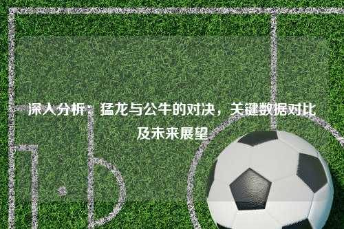 深入分析：猛龙与公牛的对决，关键数据对比及未来展望