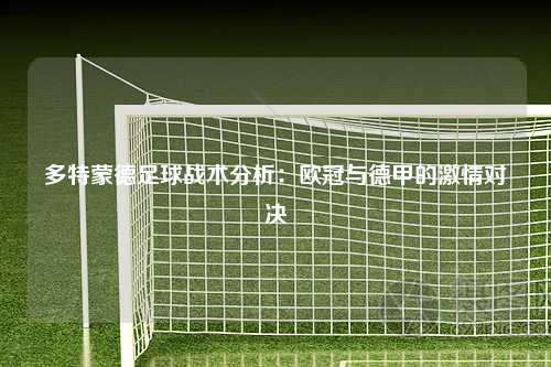 多特蒙德足球战术分析：欧冠与德甲的激情对决