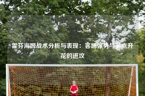 霍芬海姆战术分析与表现：客场强势与多点开花的进攻