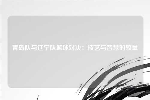 青岛队与辽宁队篮球对决:技艺与智慧的较量