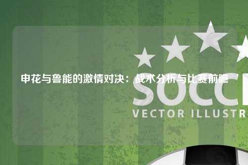申花与鲁能的激情对决：战术分析与比赛前瞻