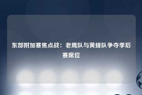 东部附加赛焦点战：老鹰队与黄蜂队争夺季后赛席位